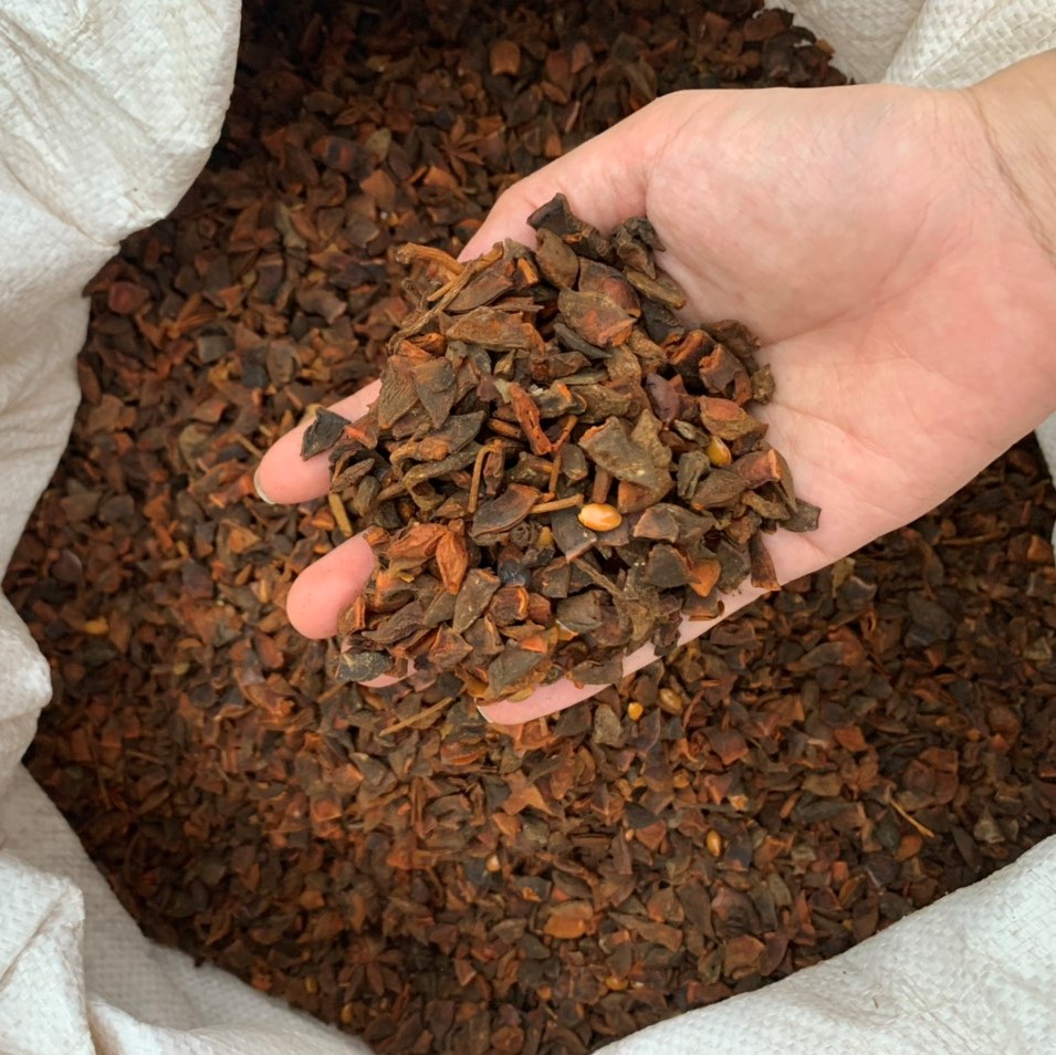 broken-anise