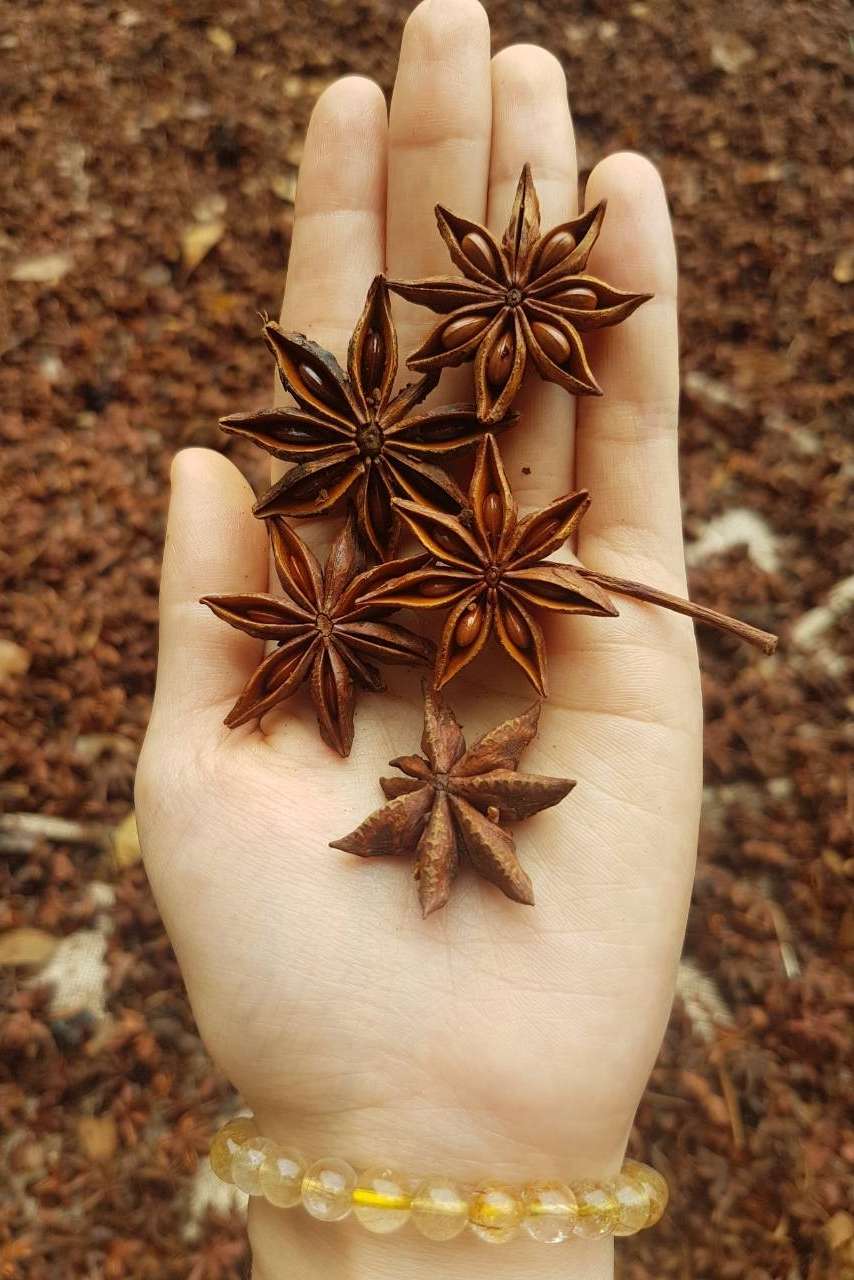 star-anise