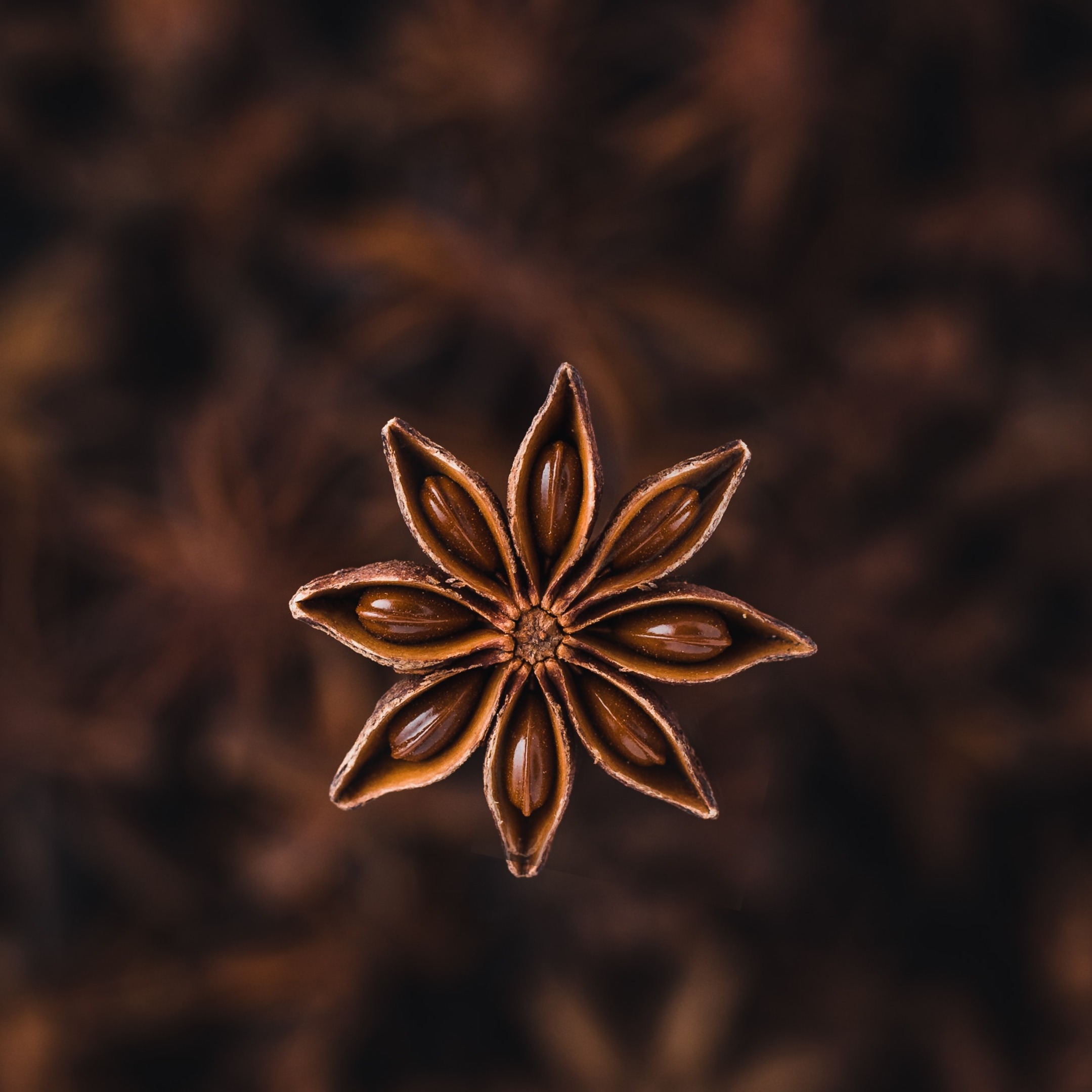Autumn Star Anise Super Premium