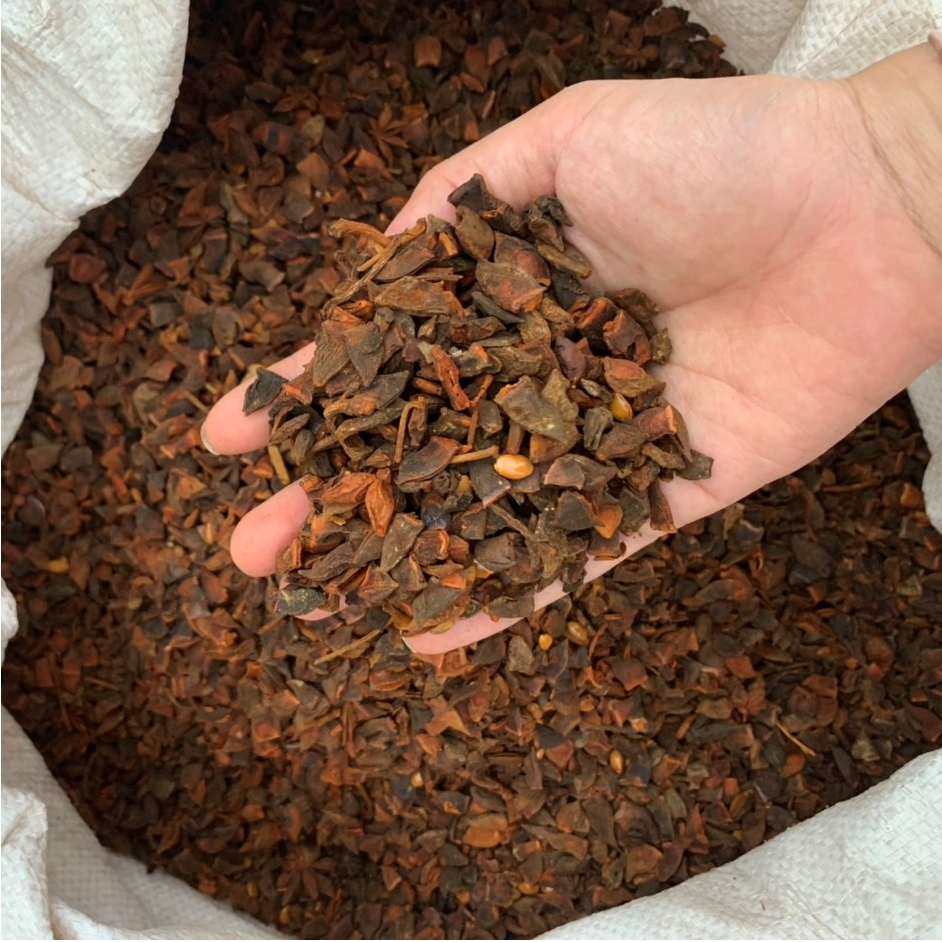Broken Star Anise