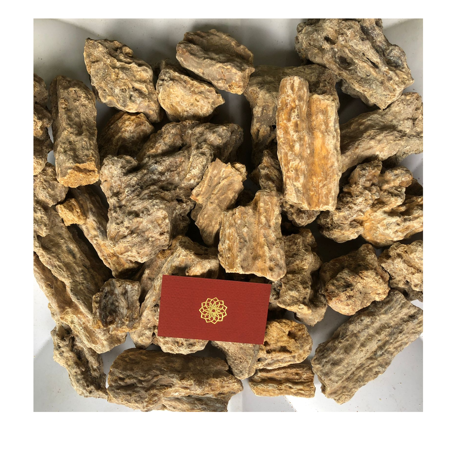 GUM DAMAR BATU