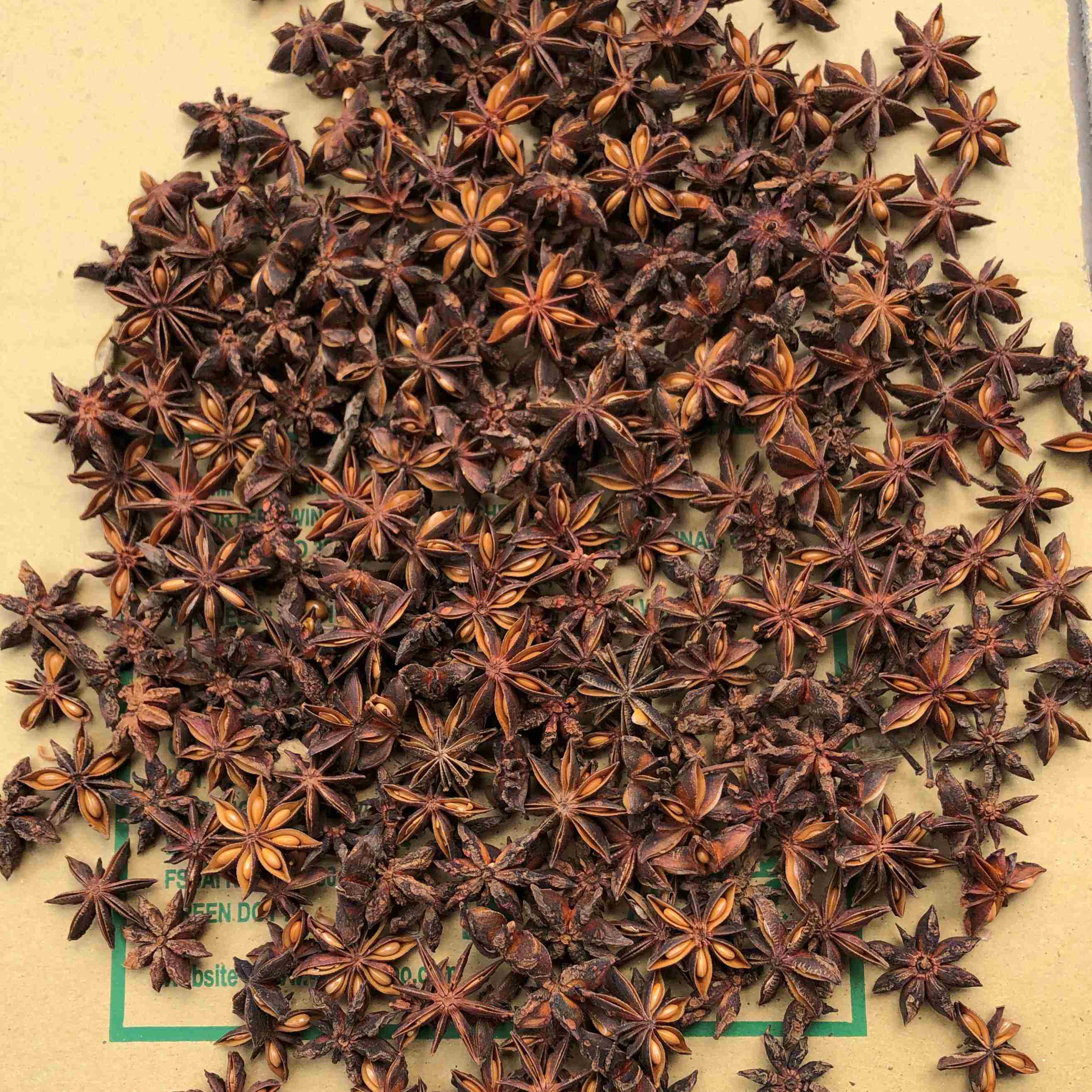 Spring Star Anise Premium ( Tu Quy Premium )