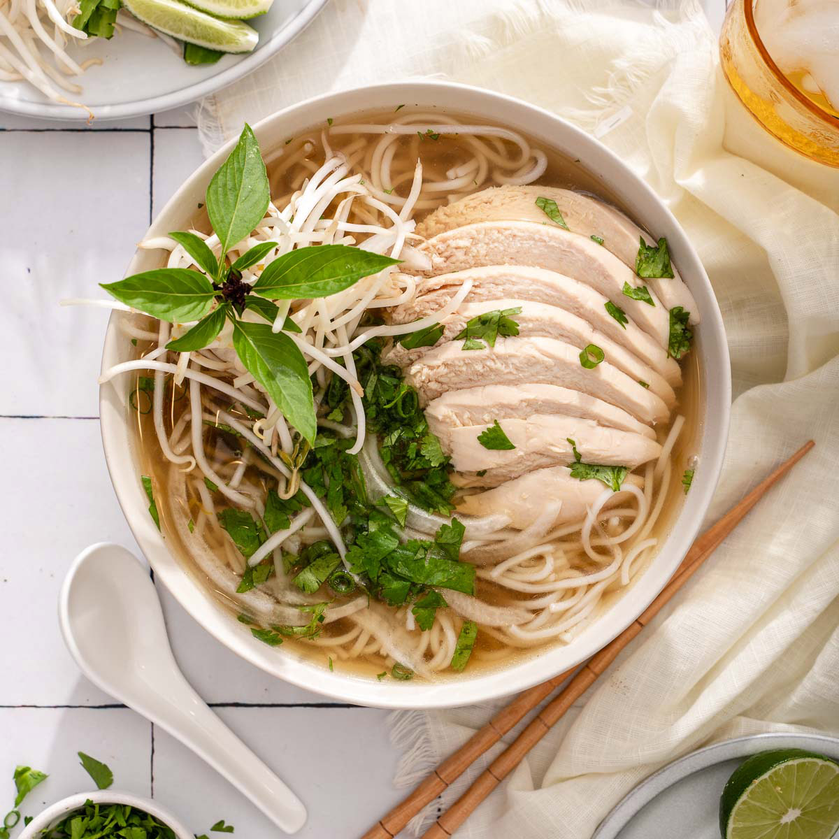 Star anise with chicken noodle