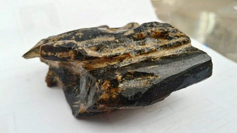Rare and precious agarwood with distinctive black color