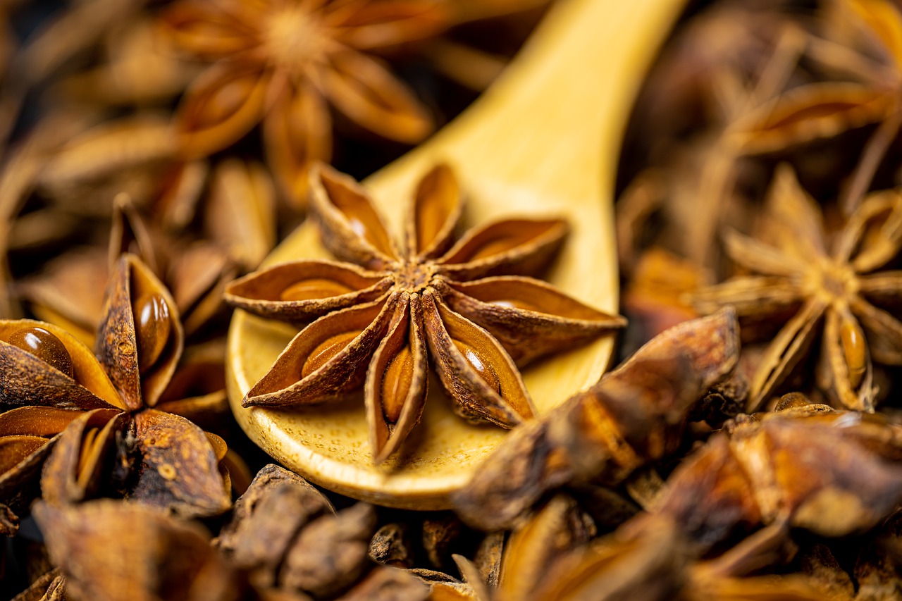 Vietnam Star Anise